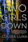 Two Girls Down: A Novel (An Alice Vega Novel) cover image